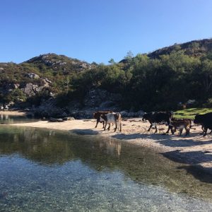 Explore Plockton with Kiley Dunbar