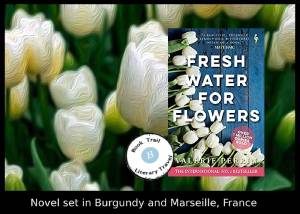 The Setting of Fresh Water for Flowers by Valérie Perrin