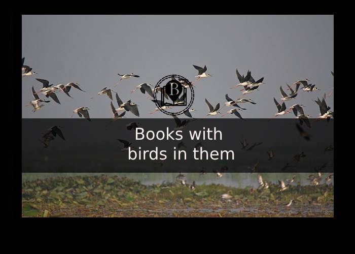 Books and birds