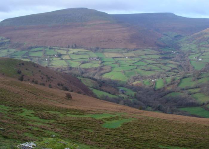 The Black Mountains and the Puzzle Wood