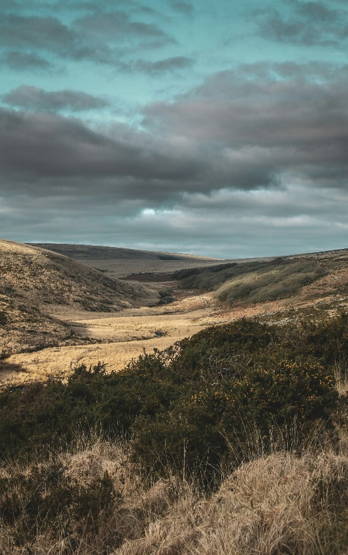 Dartmoor, Devon (c) Unsplash