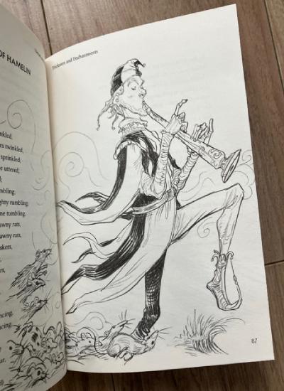 Illustration from Heroes and Villains by Chris Riddell